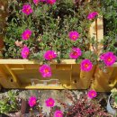 가비민박 이미지