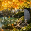 씨유 태백황지연못점 | "태백 여행 무조건 들러야 해요!" 태백 황지연못 낙동강 발원지 시내 관광 명소 솔직 후기