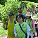 새빛유통 이미지