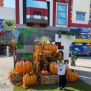 우리들 랜드 | 춘천 레고랜드 다녀왔어요 꿀팁+후기 총정리