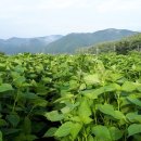 문식농장 이미지