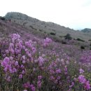 비슬산휴양림관리사무소 이미지