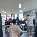 복싱바이러스 이미지