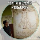 다빈치 | 속초 실내 가볼만한 곳 피노디아｜다빈치 뮤지엄·전망대 관람 후기 및 입장료