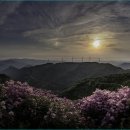 한우산