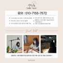 금곡작은도서관 | [부산 샌드아트 체험] 울산 부산 금곡나래 유치원 샌드아트 체험&amp;공연