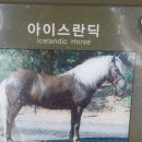 너른공원 이미지