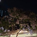 대구, 경북에도 연애 프로그램이 있다. 미팅 이벤트 커플률 대박 행진! 이미지