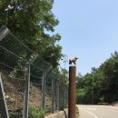 큰맘할매순대국(순천향대점) 이미지