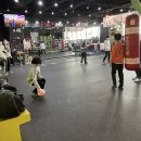[LIFE 겨울방학 특강] 라인댄스 기초 | [k다이나믹복싱] ☞ 복싱 방학특강 ing~~ #피구 #단체줄넘기