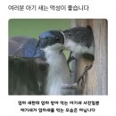 신제주리치 | 5월의 마지막. 산은 폭풍이 와도 무너지지 않는다.