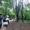삼청공원 정문 | 산악마라톤 참가후기 - 안산, 인왕산, 북악산 코스
