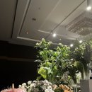 더케이호텔서울 | 더케이호텔서울 가야금홀 하객후기 (뷔페 교통 주차 최소보증인원)