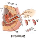 내로 이미지