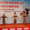 giai the hinh toan Quoc ban ket nu 2020 bodybuilding 이미지