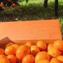 신지농장 이미지