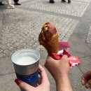 [도쿄 여행] 디즈니 씨 내돈내산 후기, 꿀팁, DPA