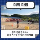 중원대학교 공공승마장 이미지