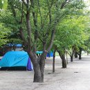 돌배야영장(제2야영장) 이미지