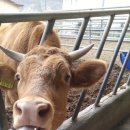 백양산업 이미지