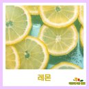 주식회사 리프레시 이미지