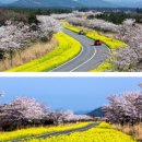 제이큐브펜션