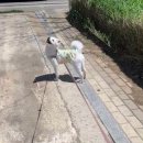 동물의왕국 동물병원 이미지