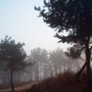 보은약수터 이미지