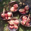 은성산업 이미지