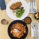 파파돈스 이미지