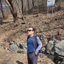 충남 | <산행 후기> 충남 보령군 성주산. 죽도