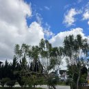 리엔하우스 | 기념여행 DAY 2 (상) / 달랏 1박 2일 여행 추천코스 / 달랏 맛집 추천 / 분팃느엉 리엔 / 달랏 기차역 /