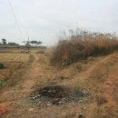 지평선주유소 이미지