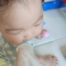 여자아기 물티슈 안전할까? 무표백 천연목화 건티슈 &#39;베베솜&#39; 후기