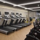 주) 건강과땀 휘트니스 명지대 Daum카페