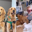 미소 동물병원 이미지