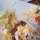 팁시카우 이미지