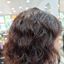 완월동244 이미지