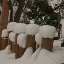 서천-12 이미지