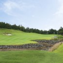 스프링데일 골프&리조트 이미지