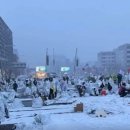 눈속에피는꽃 이미지