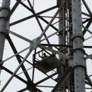 부산신항국제터미널(PNIT) 이미지