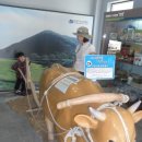 용문산관광지 야영장 이미지