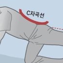 숑숑짐 이미지