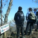 대관령전망대 이미지