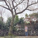 대륜세탁소 이미지