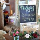 코델리아 이미지