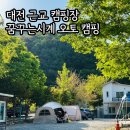 꿈꾸는 강아지 | 대전 근교 캠핑장 꿈꾸는시계 오토 캠핑 가성비 캠핑장