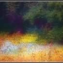 나무이야기 이미지