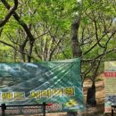 일영랜드 이미지